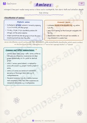 Amines revision notes, page 1 of 8