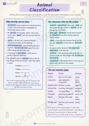 Animal Classification revision notes, page 1 of 3