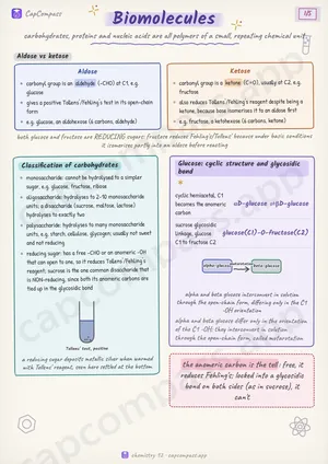 Biomolecules revision notes, page 1 of 5