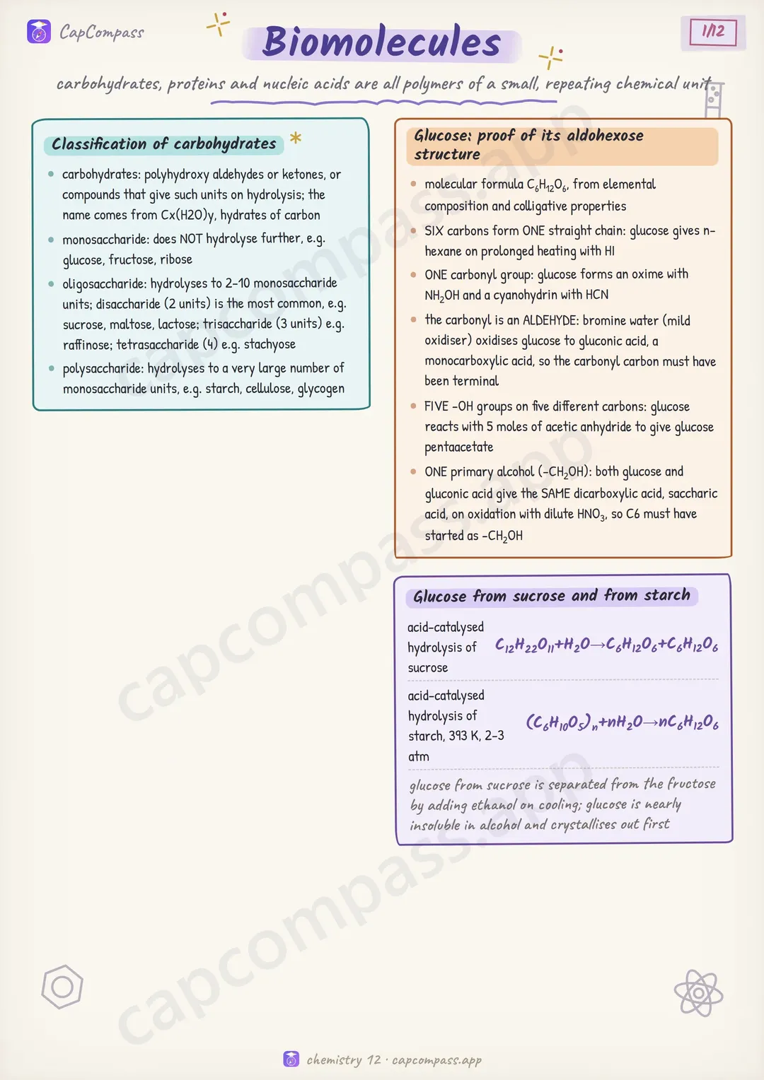 Biomolecules revision notes, page 1 of 12