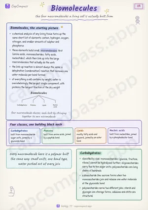 Biomolecules revision notes, page 1 of 4