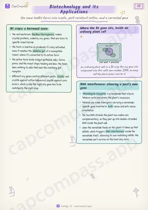 Biotechnology and its Applications revision notes, page 1 of 5