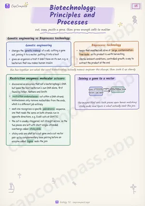 Biotechnology: Principles and Processes revision notes, page 1 of 5