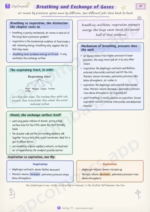 Breathing and Exchange of Gases revision notes, page 1 of 4