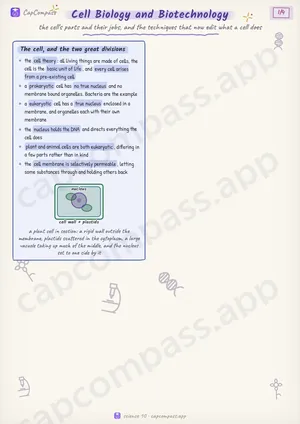 Cell Biology and Biotechnology revision notes, page 1 of 4