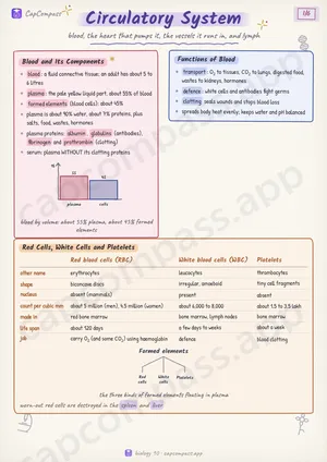 Circulatory System revision notes, page 1 of 6