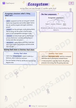 Ecosystem revision notes, page 1 of 5