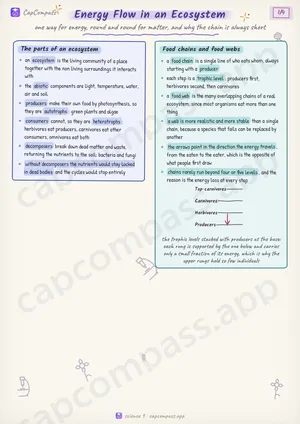 Energy Flow in an Ecosystem revision notes, page 1 of 4