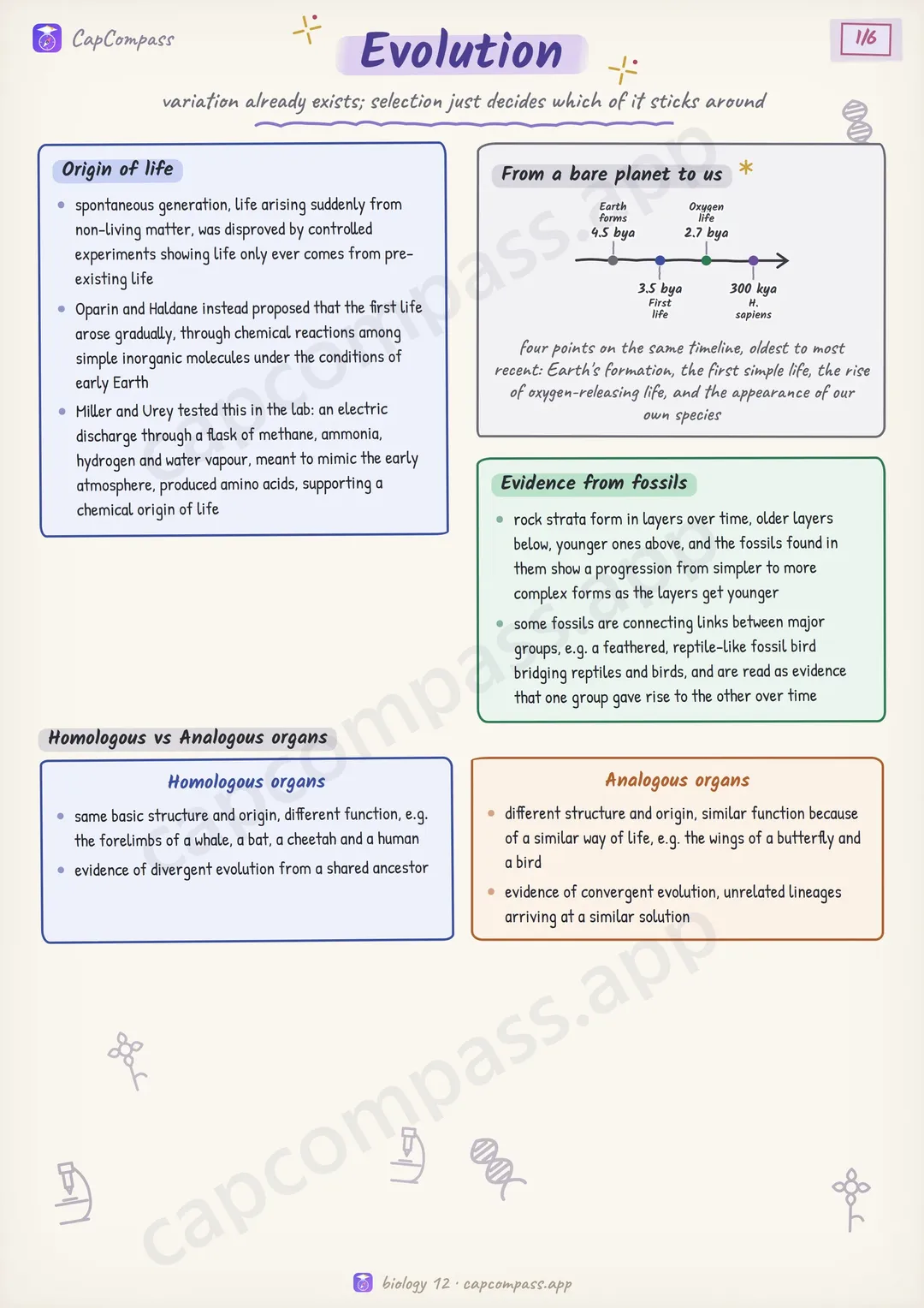 Evolution revision notes, page 1 of 6