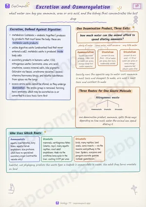 Excretion and Osmoregulation revision notes, page 1 of 7
