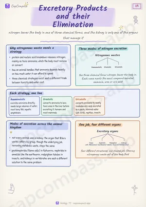 Excretory Products and their Elimination revision notes, page 1 of 4