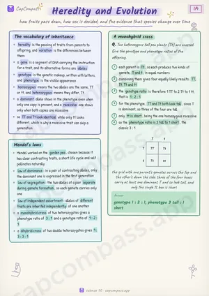 Heredity and Evolution revision notes, page 1 of 4