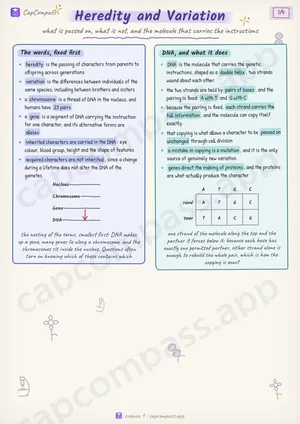 Heredity and Variation revision notes, page 1 of 4