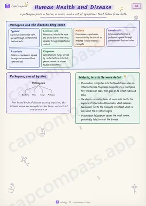 Human Health and Disease revision notes, page 1 of 6
