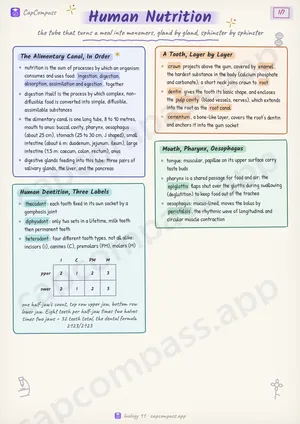 Human Nutrition revision notes, page 1 of 7