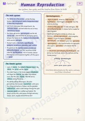 Human Reproduction revision notes, page 1 of 4
