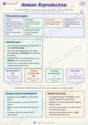 Human Reproduction revision notes, page 1 of 5