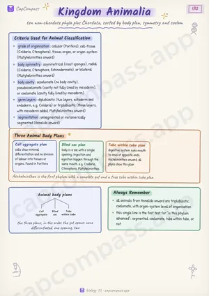 Kingdom Animalia revision notes, page 1 of 12