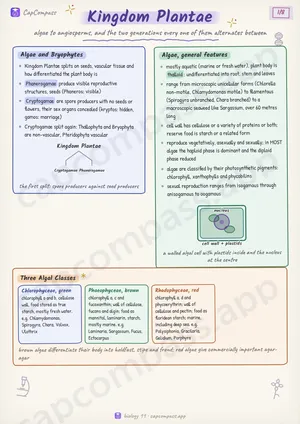 Kingdom Plantae revision notes, page 1 of 8