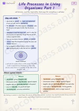 Life Processes in Living Organisms Part 1 revision notes, page 1 of 4