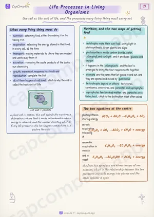 Life Processes in Living Organisms revision notes, page 1 of 3