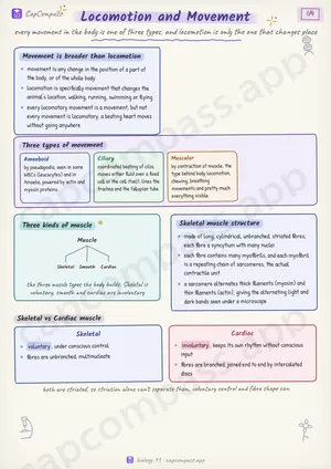 Locomotion and Movement revision notes, page 1 of 4