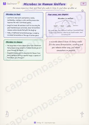 Microbes in Human Welfare revision notes, page 1 of 6