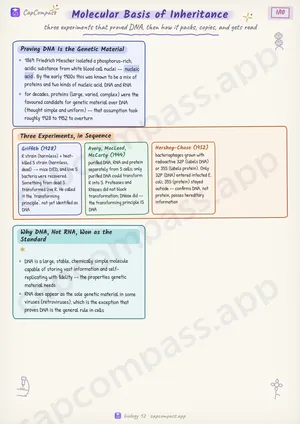 Molecular Basis of Inheritance revision notes, page 1 of 10