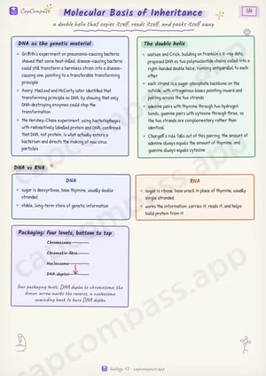 Molecular Basis of Inheritance revision notes, page 1 of 6