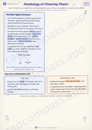 Morphology of Flowering Plants revision notes, page 1 of 9