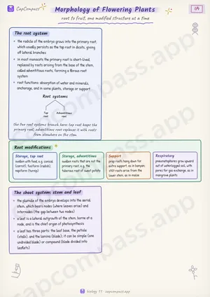 Morphology of Flowering Plants revision notes, page 1 of 4