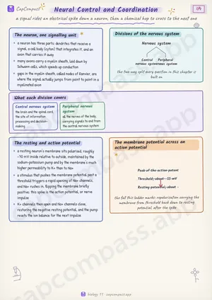 Neural Control and Coordination revision notes, page 1 of 4