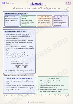 Novel revision notes, page 1 of 3