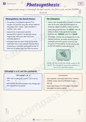 Photosynthesis revision notes, page 1 of 6