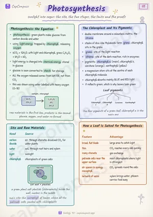 Photosynthesis revision notes, page 1 of 5