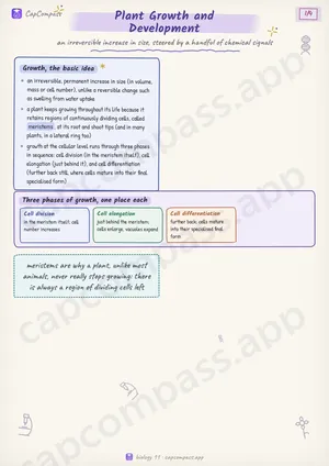 Plant Growth and Development revision notes, page 1 of 4