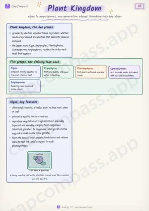Plant Kingdom revision notes, page 1 of 4