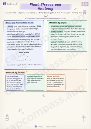Plant Tissues and Anatomy revision notes, page 1 of 12