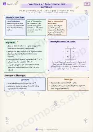 Principles of Inheritance and Variation revision notes, page 1 of 6