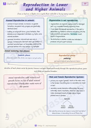 Reproduction in Lower and Higher Animals revision notes, page 1 of 10