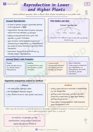 Reproduction in Lower and Higher Plants revision notes, page 1 of 7