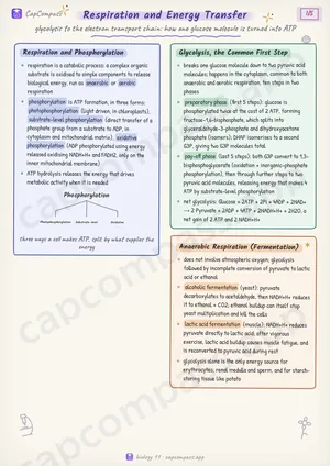Respiration and Energy Transfer revision notes, page 1 of 5