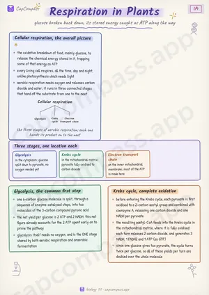 Respiration in Plants revision notes, page 1 of 4
