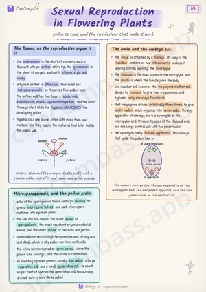 Sexual Reproduction in Flowering Plants revision notes, page 1 of 4