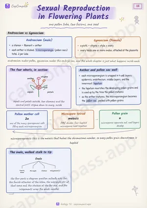 Sexual Reproduction in Flowering Plants revision notes, page 1 of 6