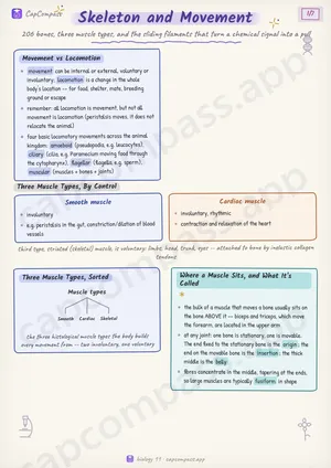 Skeleton and Movement revision notes, page 1 of 7