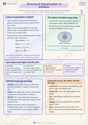 Structural Organisation in Animals revision notes, page 1 of 3