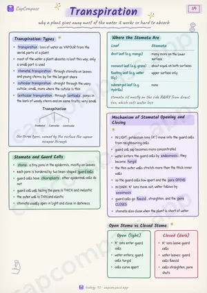 Transpiration revision notes, page 1 of 4