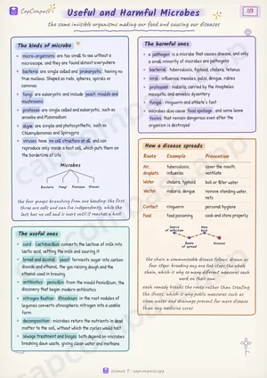 Useful and Harmful Microbes revision notes, page 1 of 3